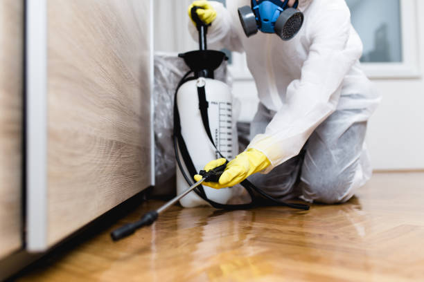 Best Mosquito Control Services  in Mammoth Spring, AR