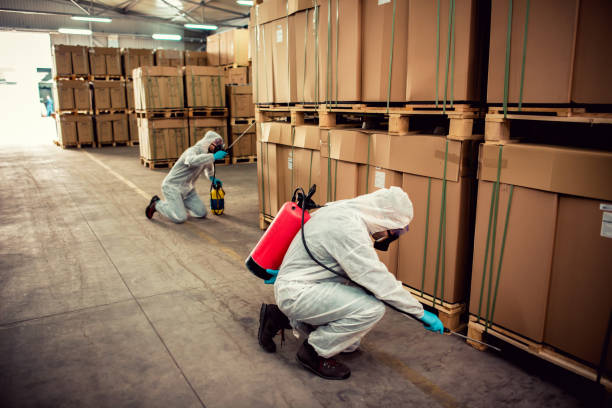 Best Bed Bug Extermination  in Mammoth Spring, AR