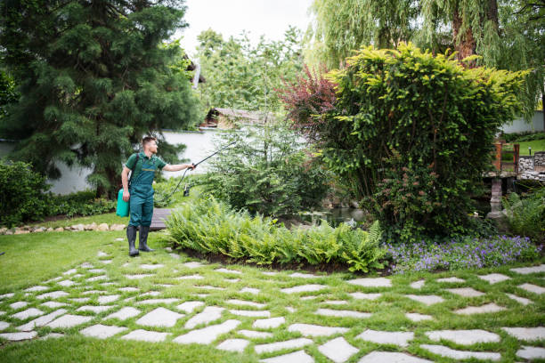 Best Local Pest Control Services  in Mammoth Spring, AR