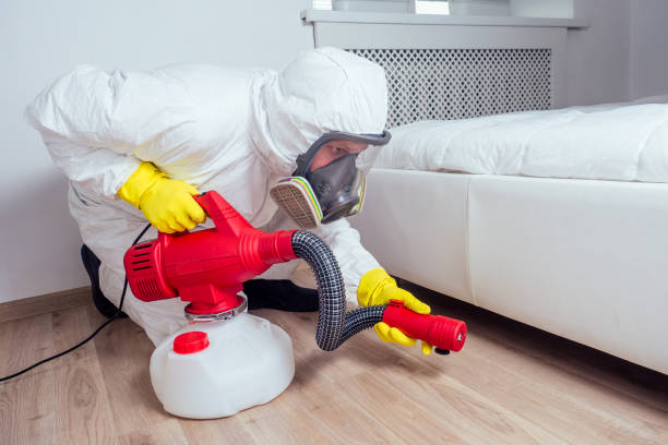 Best Cockroach Control Services  in Mammoth Spring, AR