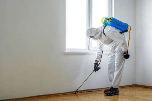 Best Wildlife Control Services  in Mammoth Spring, AR
