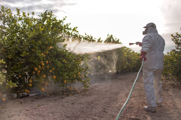 Best Commercial Pest Control Services  in Mammoth Spring, AR