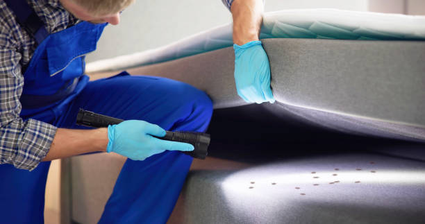 Best Best Pest Control Companies  in Mammoth Spring, AR