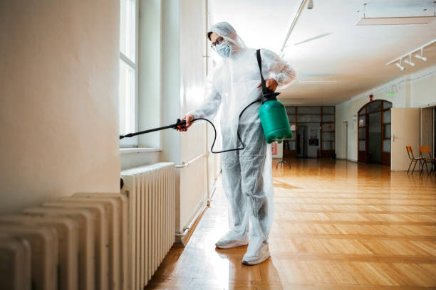 Best Pest Control Treatment  in Mammoth Spring, AR