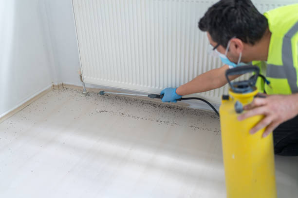 Best Cockroach Control Services  in Mammoth Spring, AR